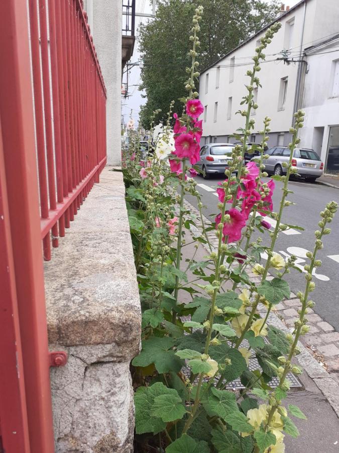 Zola Nantes